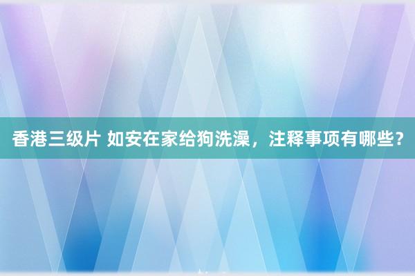 香港三级片 如安在家给狗洗澡，注释事项有哪些？