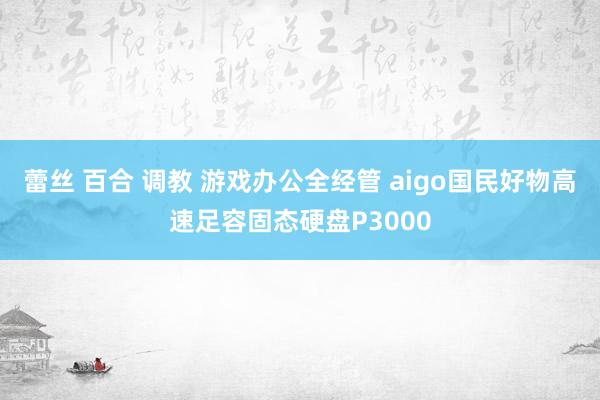 蕾丝 百合 调教 游戏办公全经管 aigo国民好物高速足容固态硬盘P3000