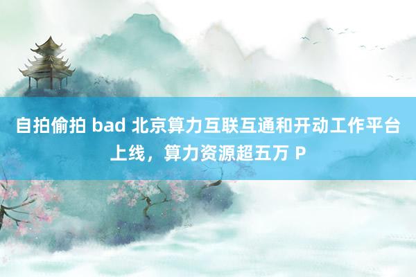 自拍偷拍 bad 北京算力互联互通和开动工作平台上线，算力资源超五万 P