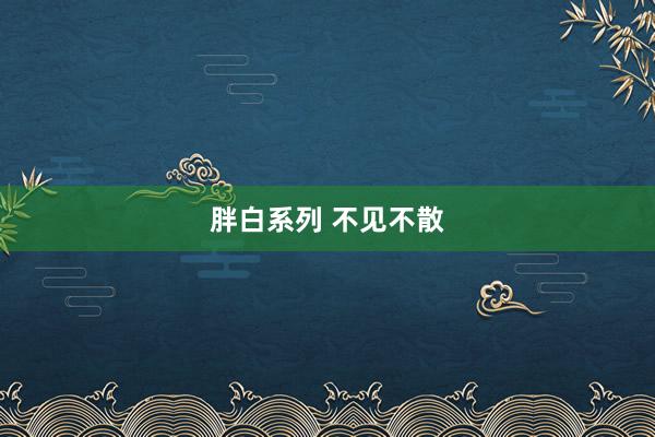 胖白系列 不见不散